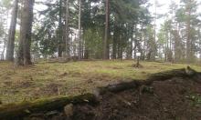 W lasach Nadleśnictwa Komańcza uporządkowano kolejny cmentarz z I wojny światowej