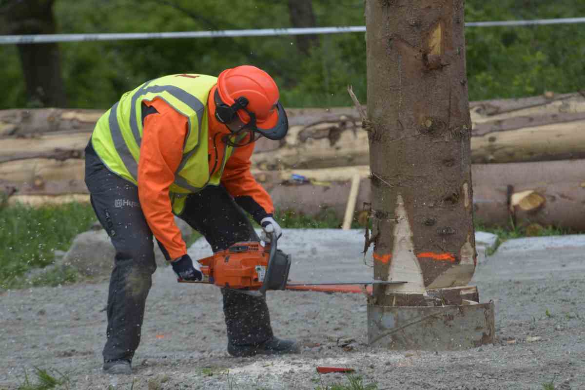 X jubileuszowe ZAWODY DRWALI – OPERATORÓW PILAREK KOMAŃCZA 2022