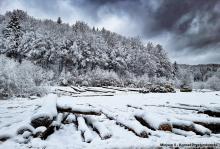 Rozstrzygnięcie konkursu fotograficznego