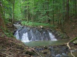 Pomnik przyrody - próg skalny w korycie potoku Olchowatego